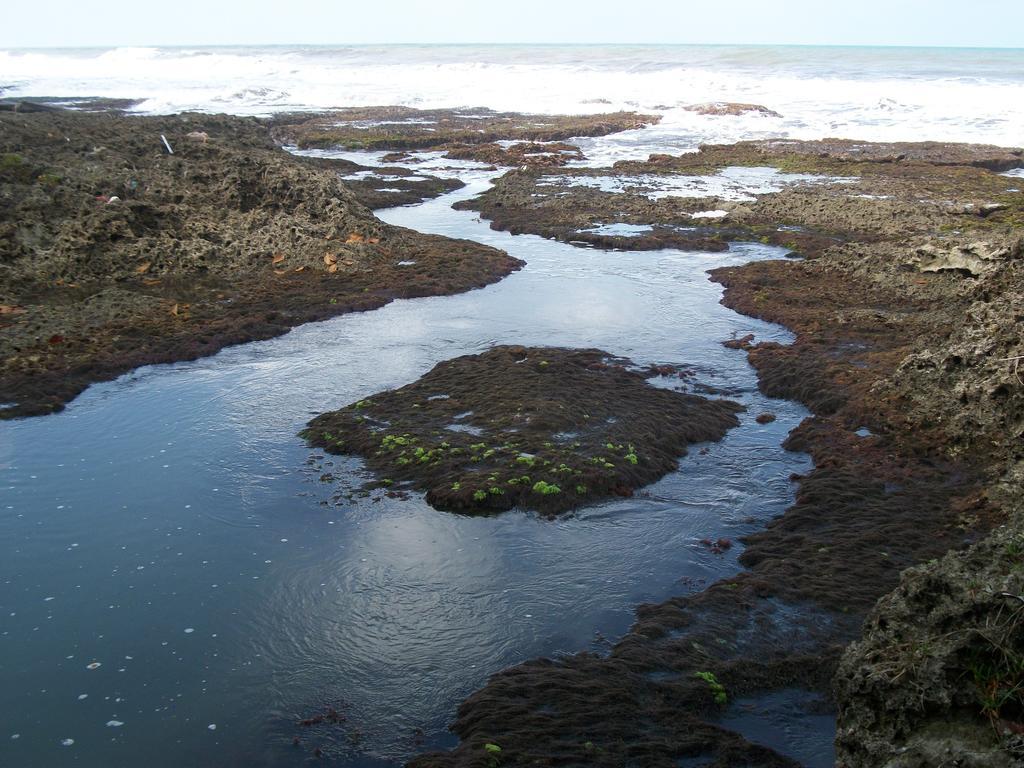 Piscina Natural On The Sea Cahuita Exterior photo