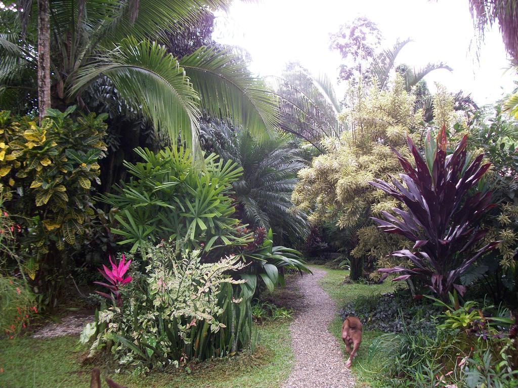 Piscina Natural On The Sea Cahuita Exterior photo