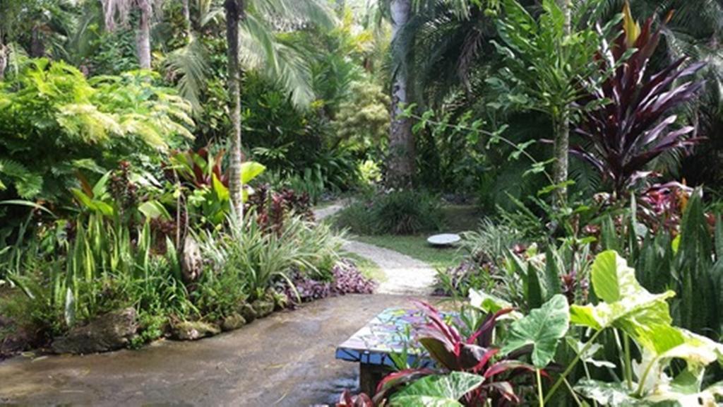 Piscina Natural On The Sea Cahuita Exterior photo
