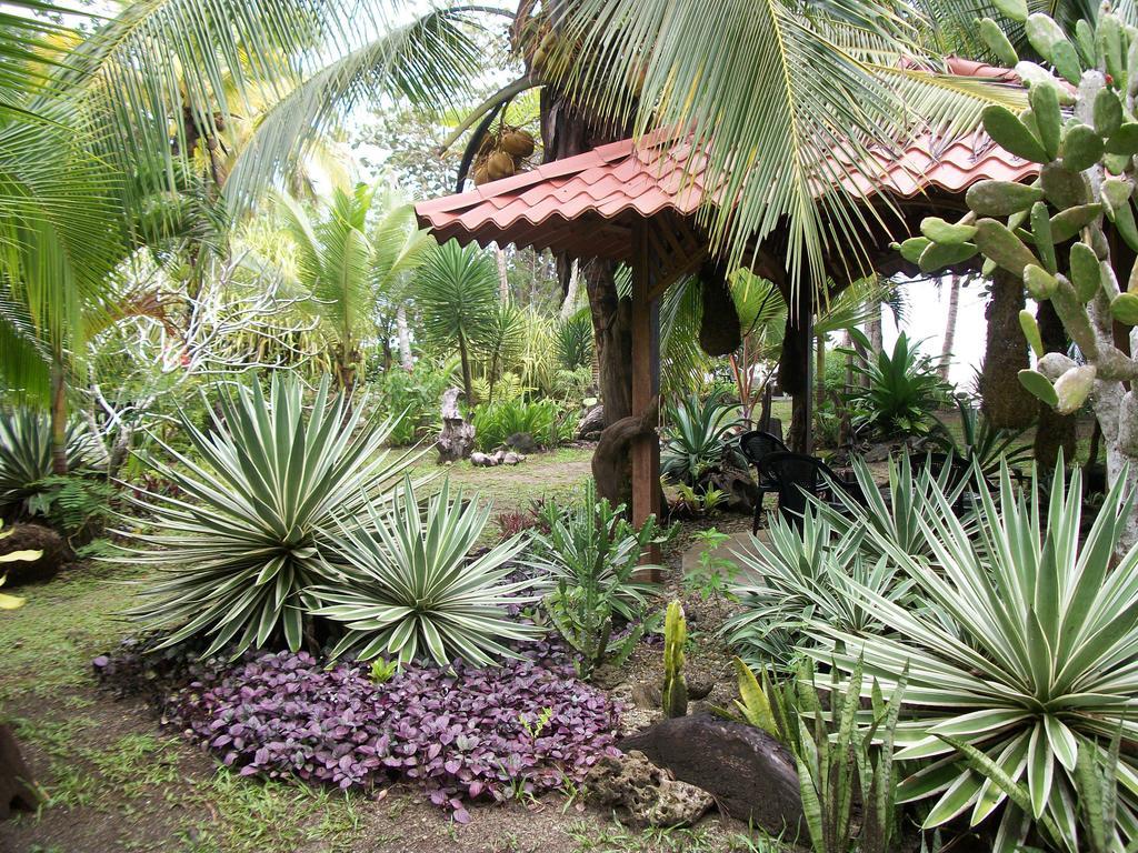 Piscina Natural On The Sea Cahuita Exterior photo