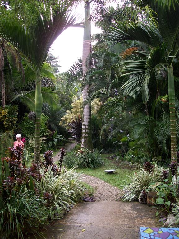 Piscina Natural On The Sea Cahuita Exterior photo