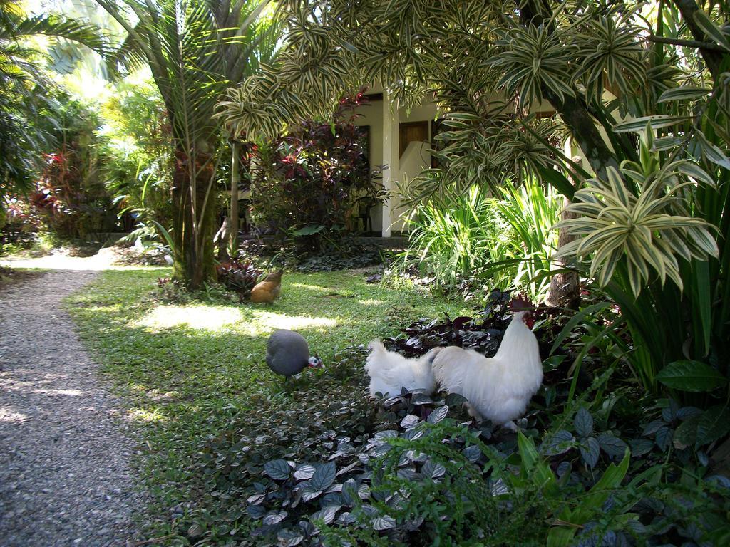 Piscina Natural On The Sea Cahuita Exterior photo