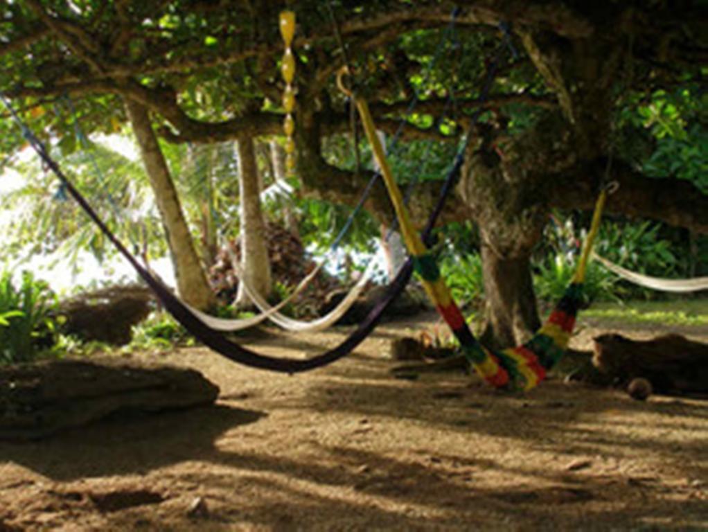 Piscina Natural On The Sea Cahuita Exterior photo