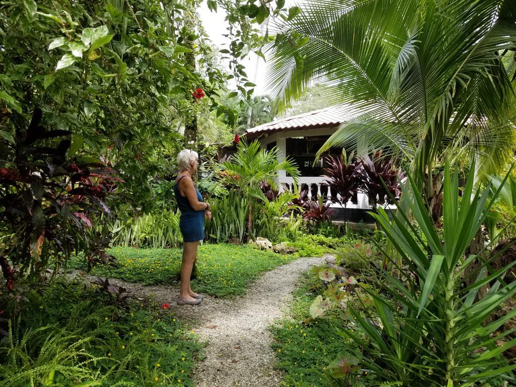 Piscina Natural On The Sea Cahuita Exterior photo