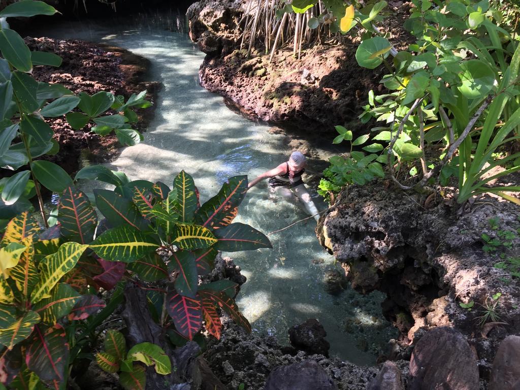 Piscina Natural On The Sea Cahuita Exterior photo
