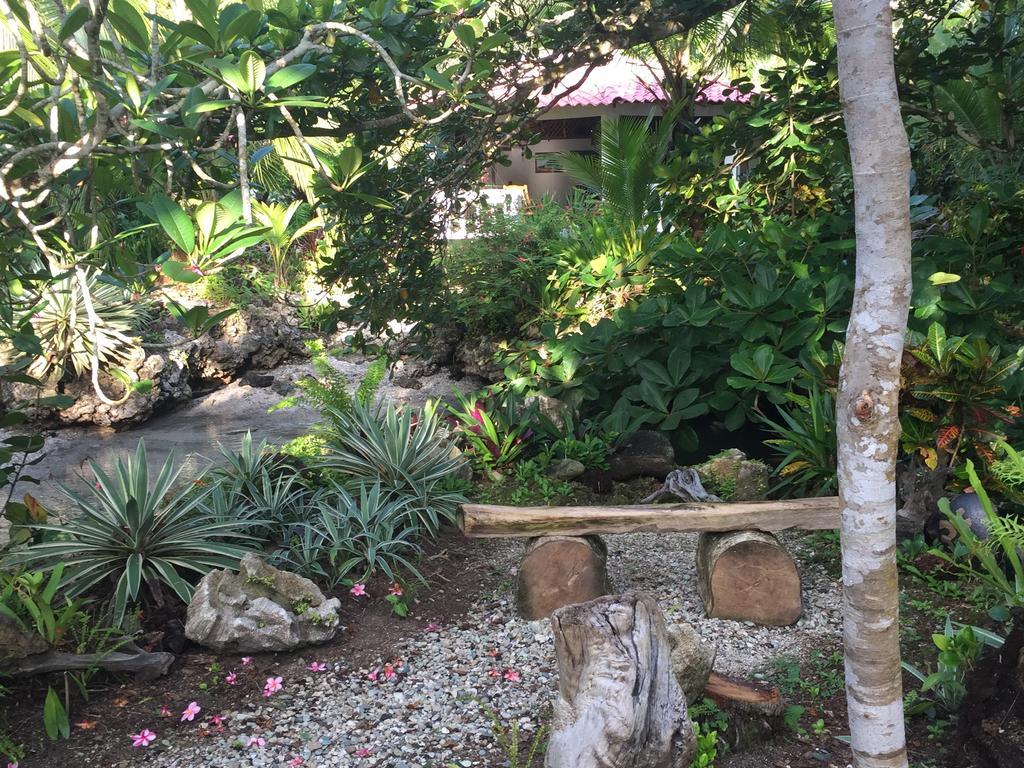 Piscina Natural On The Sea Cahuita Exterior photo