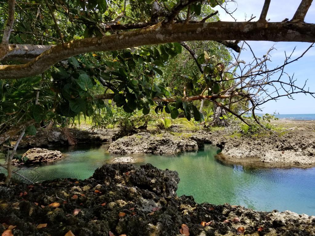 Piscina Natural On The Sea Cahuita Exterior photo