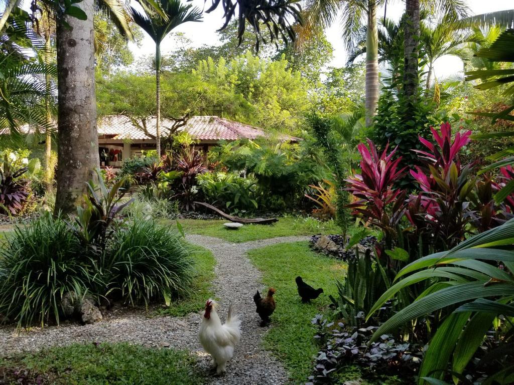 Piscina Natural On The Sea Cahuita Exterior photo