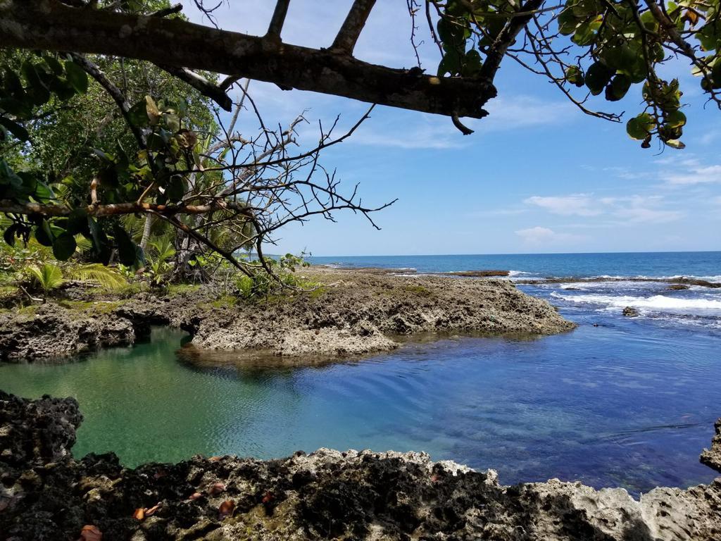 Piscina Natural On The Sea Cahuita Exterior photo