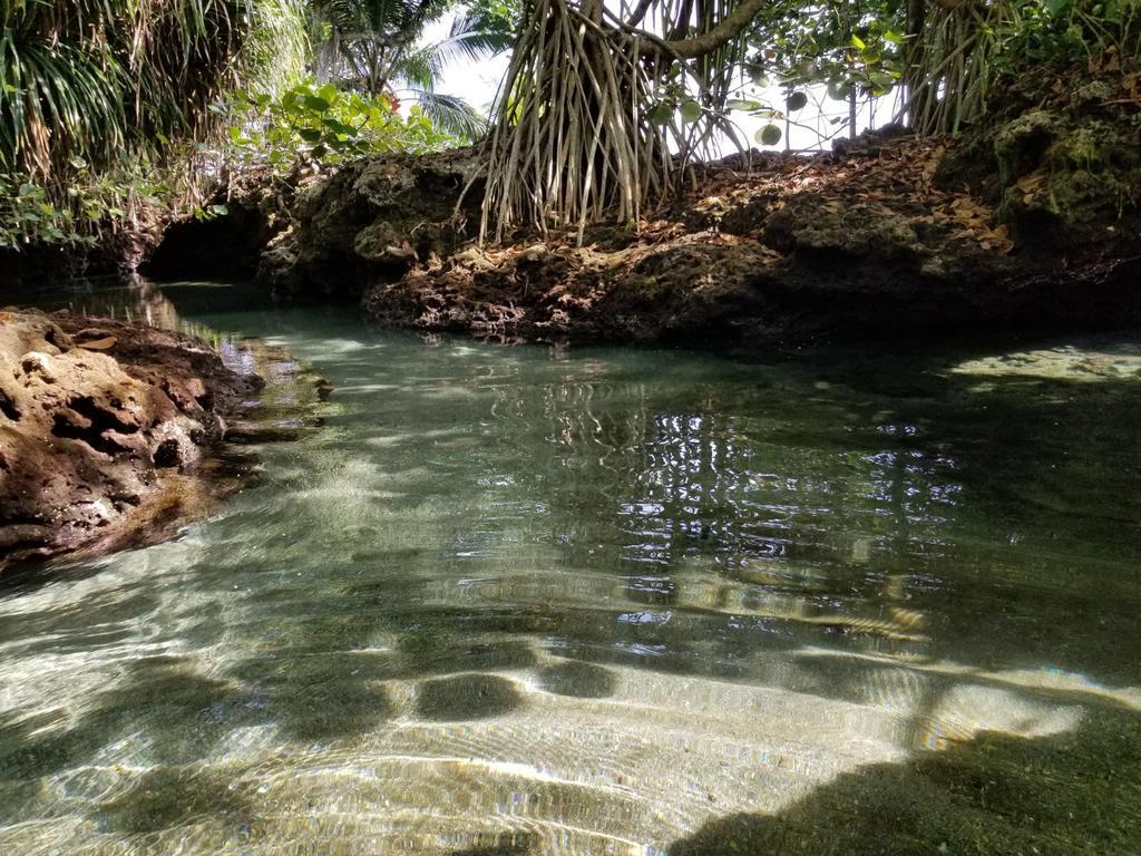 Piscina Natural On The Sea Cahuita Exterior photo