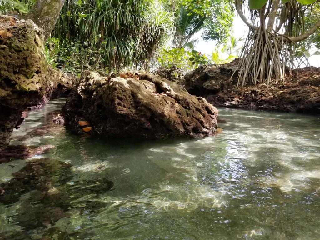 Piscina Natural On The Sea Cahuita Exterior photo